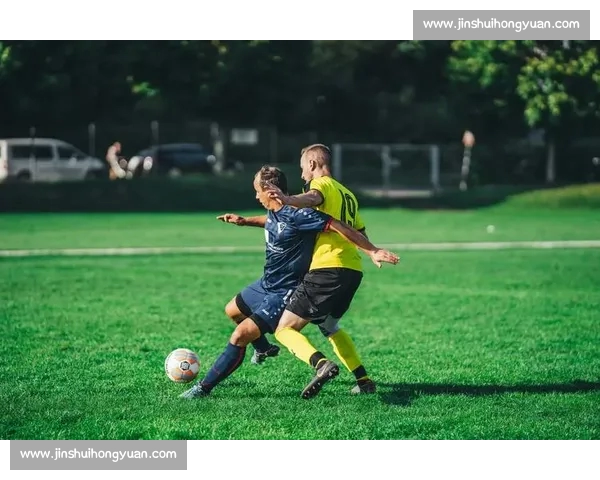 打造一站式足球赛事APP互动体验平台与球迷实时数据分析服务系统